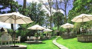 Top 1 dịch vụ sửa chữa quán cafe tại Vũng Tàu Bà Rịa